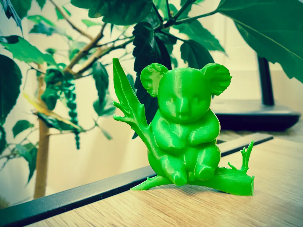 Cute Koala Bear — creator reference